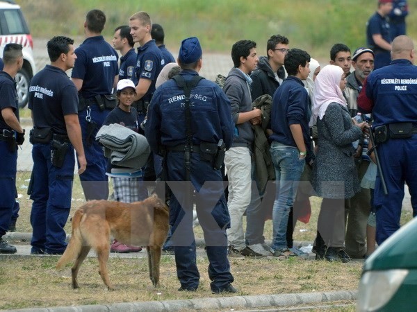 Visegrad-Gruppe protestiert gegen Flüchtlingspolitik der EU - ảnh 1